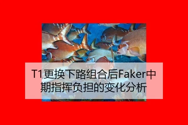 T1更换下路组合后Faker中期指挥负担的变化分析